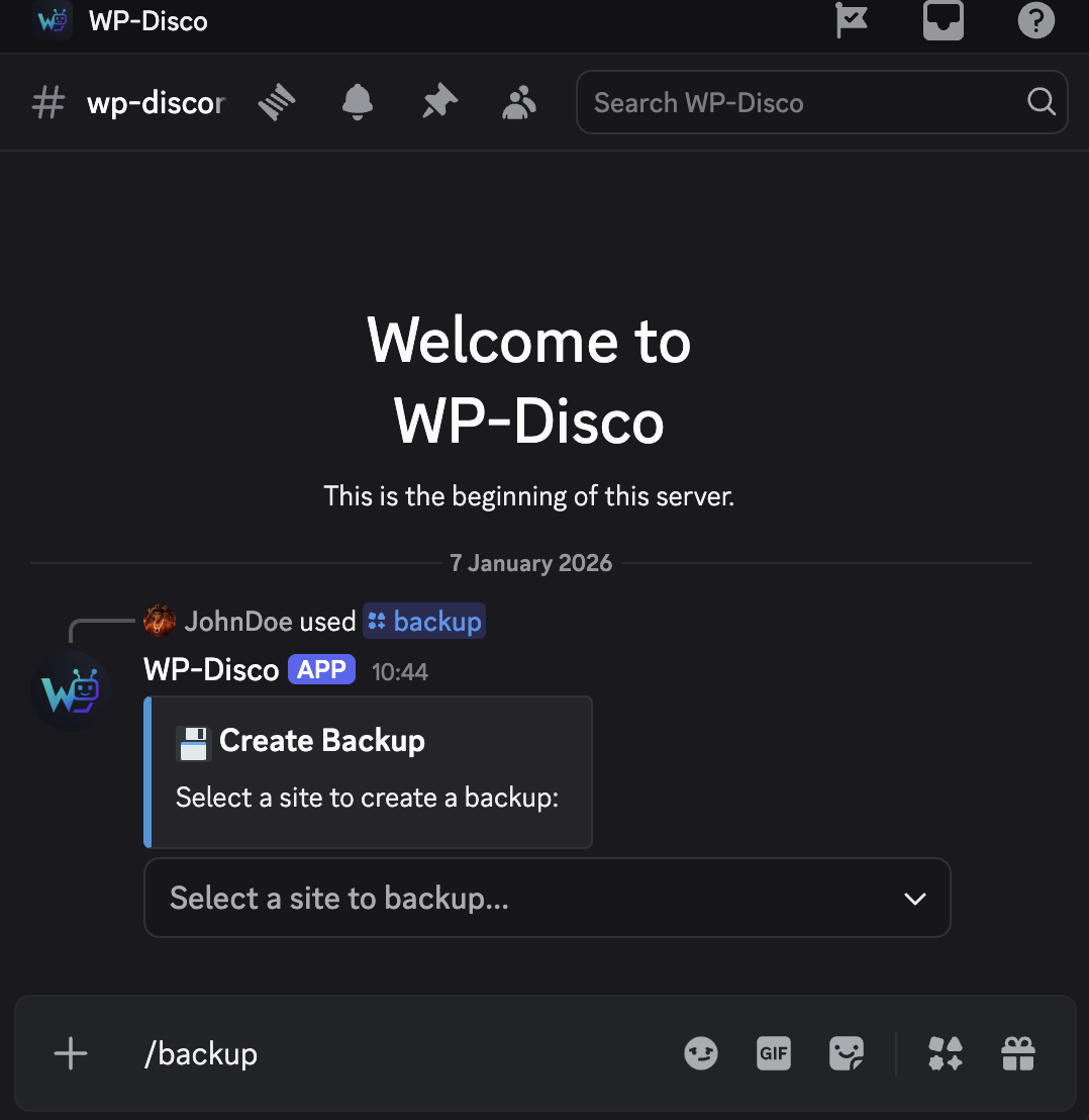 Backup command example in Discord